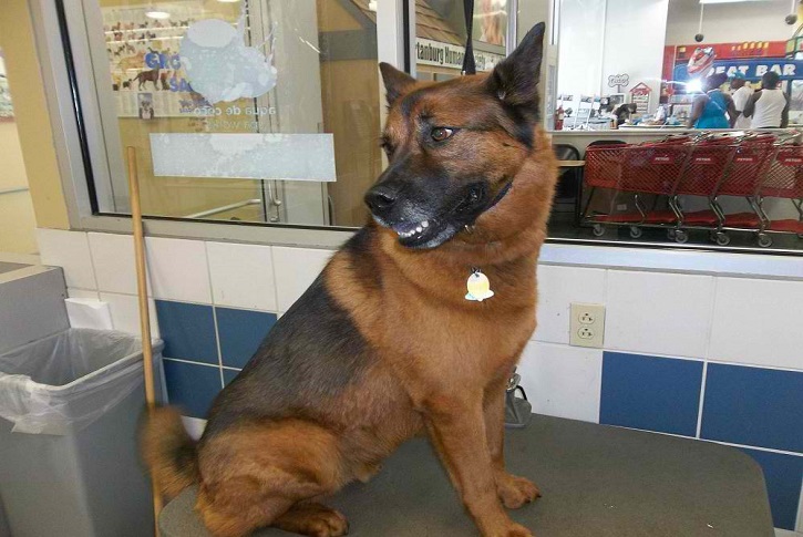 German Chow